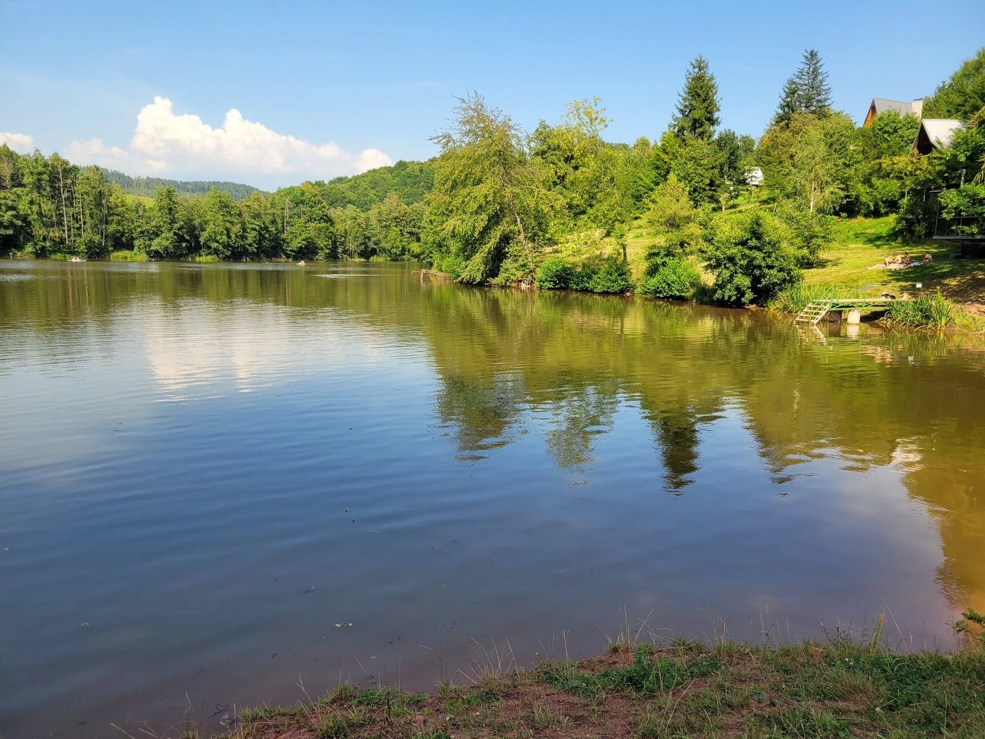 A lake reflecting trees and a blue summer sky, with a green shoreline.