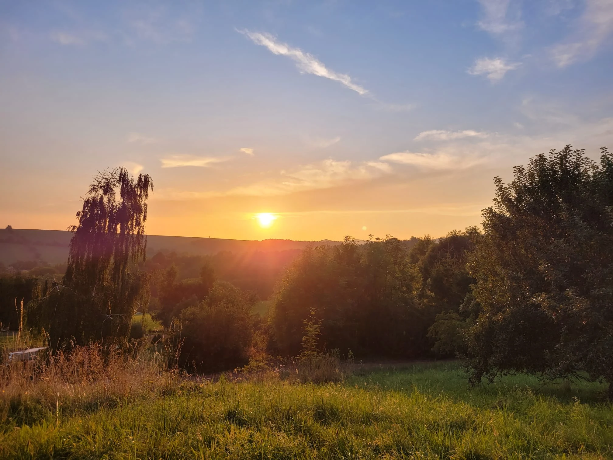 Sunset over green hills, trees and grass in the Dear Hill surroundings.